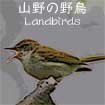 山野の野鳥 鳴き声図鑑