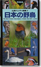山溪ハンディ図鑑７日本の野鳥