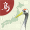 野鳥の鳴き声図鑑　Japanese Birds